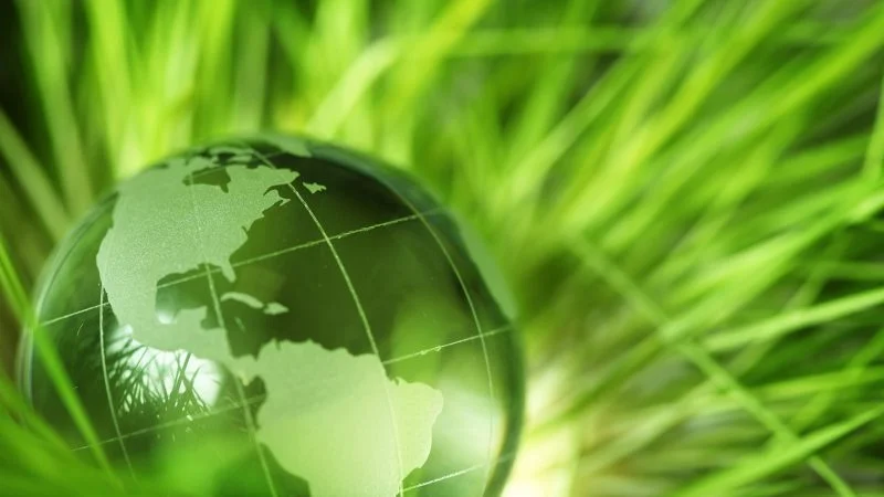 ¿Tendremos un mundo más sostenible tras el COVID-19?