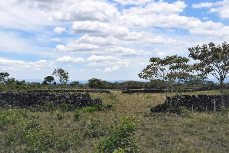 VENTA DE TERRENO SOBRE LA VÍA BOQUETE, LOS MOLINOS