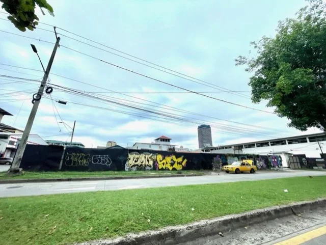 VENTA DE TERRENO EN AVE. MÉXICO, CALIDONIA