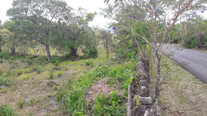 VENTA DE LOTE SOBRE LA VÍA BOQUETE, LOS MOLINOS