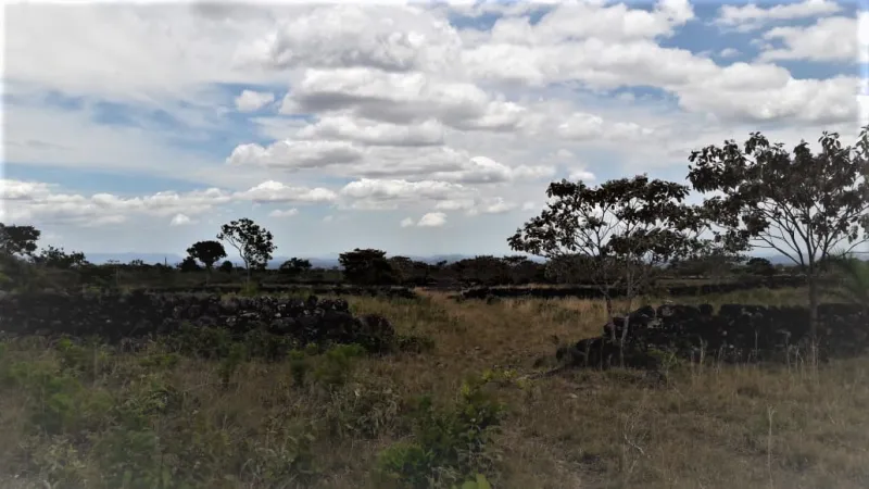 VENTA DE LOTE SOBRE LA VÍA BOQUETE, LOS MOLINOS