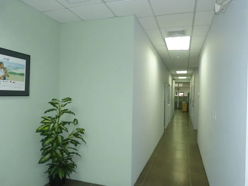 ALQUILER DE OFICINAS EN VÍA ISRAEL