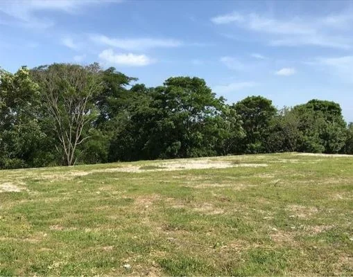 VENTA DE TERRENO EN CORONADO