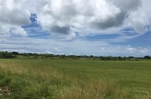 VENTA O ALQUILER DE TERRENO EN RÍO HATO