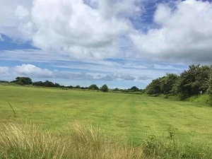 VENTA O ALQUILER DE TERRENO EN RÍO HATO