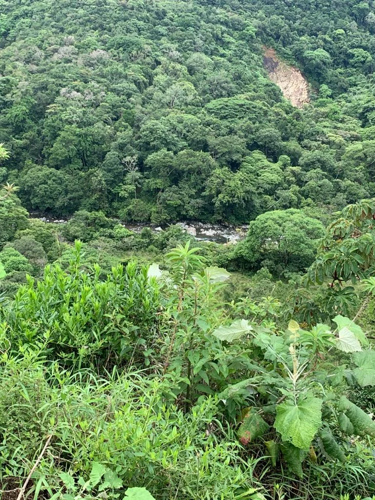 VENTA DE TERRENO EN ALTO BOQUETE, CHIRIQUÍ