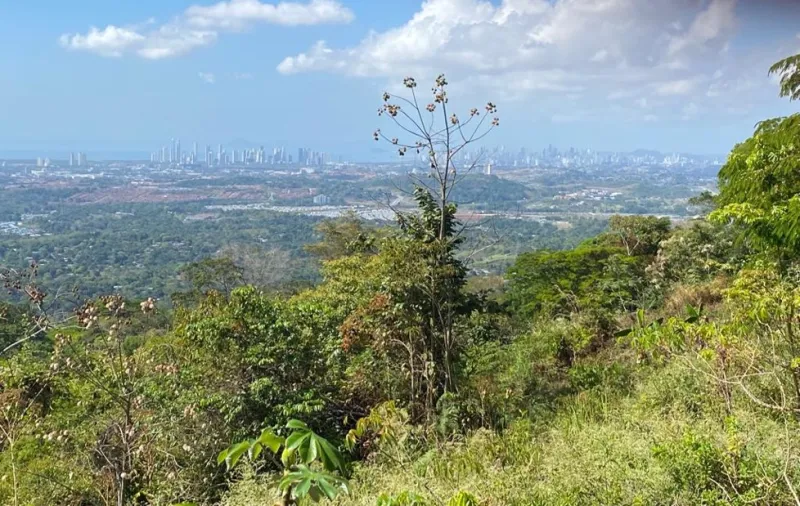 VENTA DE TERRENO PARA DESARROLLO EN PANAMÁ NORTE