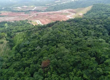 VENTA DE TERRENO PARA DESARROLLO EN PANAMÁ NORTE