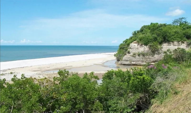 VENTA DE TERRENO EN EL HIGO