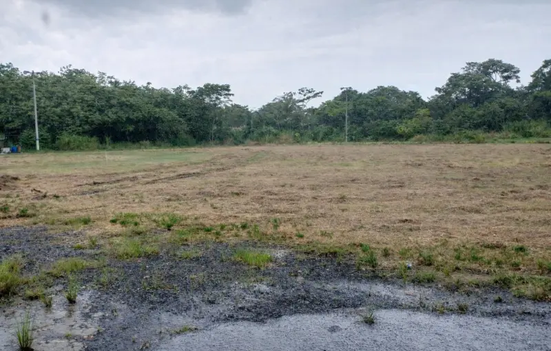 VENTA DE TERRENO PARA DESARROLLO EN LA CHORRERA
