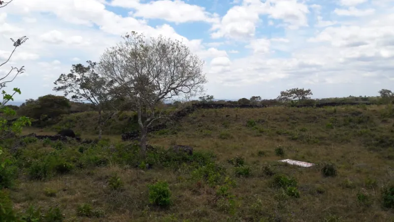 VENTA DE LOTE SOBRE LA VÍA BOQUETE, LOS MOLINOS