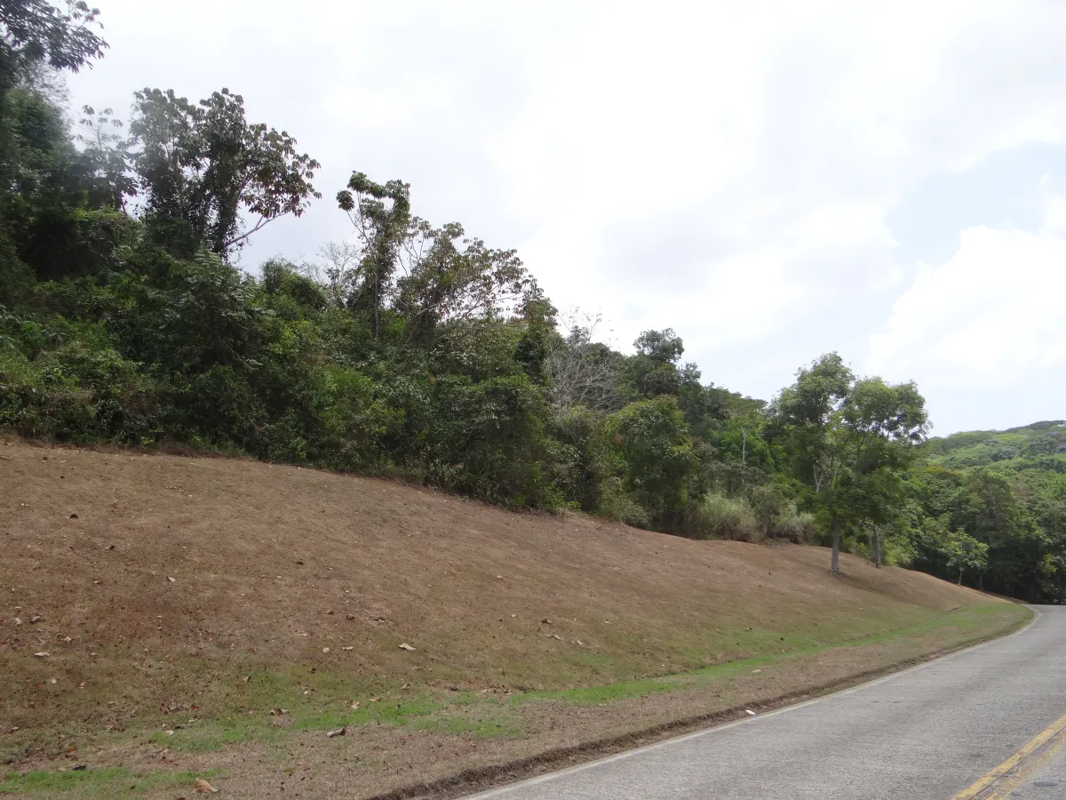 VENTA DE TERRENO PARA DESARROLLO EN CLAYTON