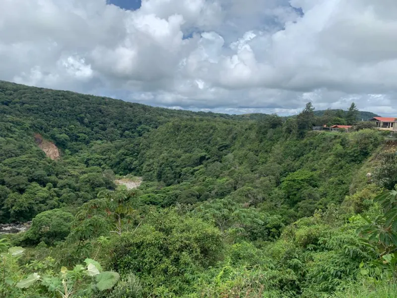 VENTA DE TERRENO EN ALTO BOQUETE, CHIRIQUÍ