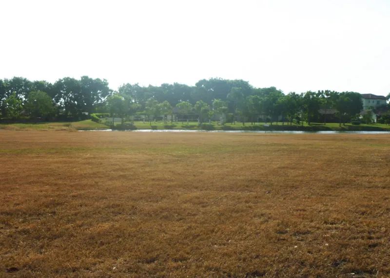 VENTA DE TERRENO EN BUENAVENTURA