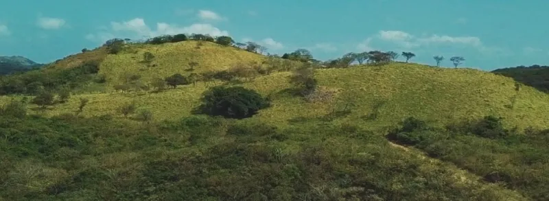 TERRENO PARA DESARROLLO EN PENONOMÉ