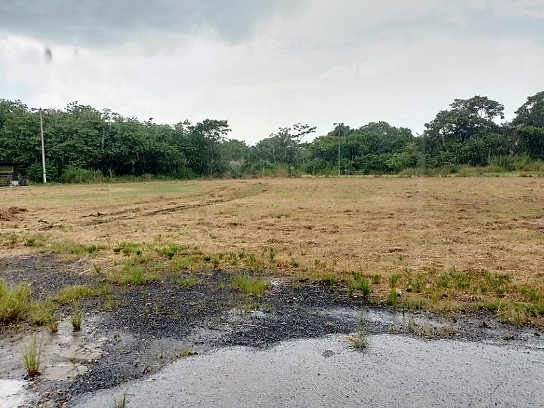 VENTA DE TERRENO PARA DESARROLLO EN LA CHORRERA