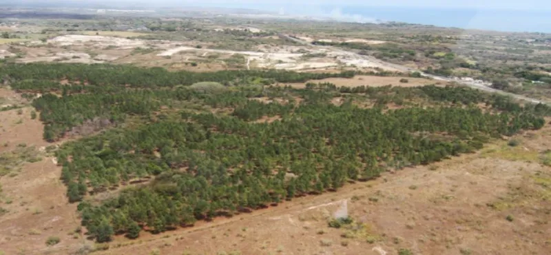 VENTA DE TERRENO EN SANTA CLARA